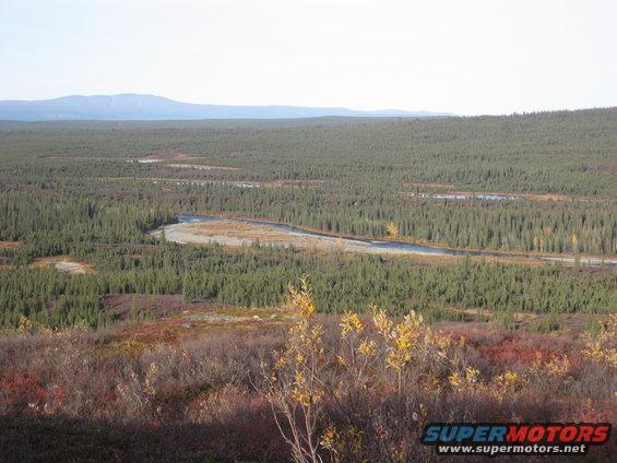 Wide view of a dense evergreen forest with a winding river and distant mountains under a hazy sky