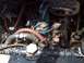 1968 Jeep CJ5 photo