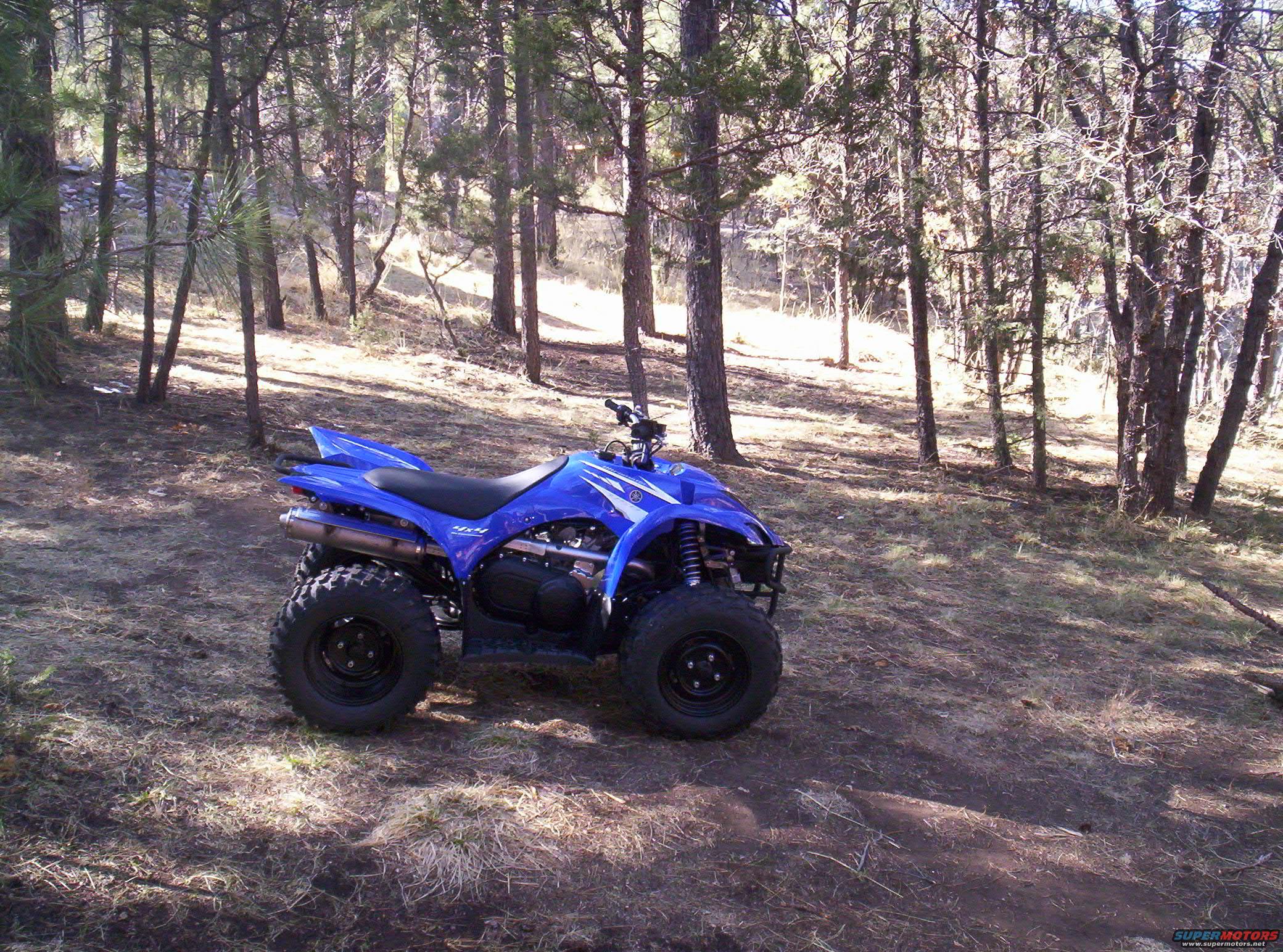 2008 Yamaha WOLVERINE “Wolvey”