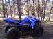 2008 Yamaha WOLVERINE