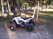 2009 Yamaha RAPTOR 660 - Side view of a white 2009 Yamaha RAPTOR 660 ATV with a red frame, parked outdoors on a gravel surface.