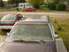 1984 Ford LTD - The interior of a station wagon is visible, along with a roof rack. Another car and a trailer home are in the background.