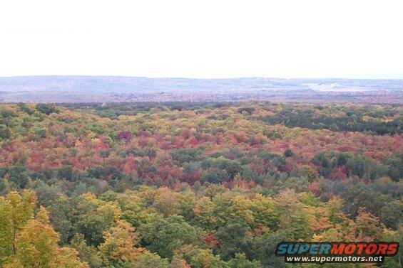Fall foliage landscape with colorful trees and a distant view