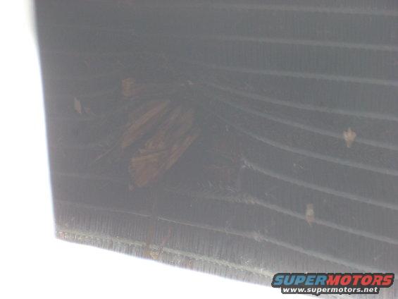 Close-up of a vehicle's front grille with some debris stuck in it