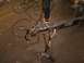 1900 Ford C-350 (Centurion Conversions) - Trailer hitch assembly with wiring harness and safety chains, with an air hose and tool nearby.