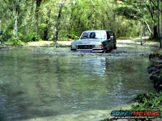 stevewater.jpg Some freshwater in Ocala.
