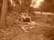 1984 Ford Bronco II - A modified truck navigates a muddy, debris-filled path in a wooded area.