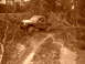1984 Ford Bronco II - A modified off-road truck navigates a muddy trail surrounded by fallen trees and debris.