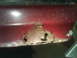 DSC00111.JPG