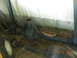 1991 Ford F-150 - Two rear axle assemblies are visible, one in the foreground and another behind it, resting in dry grass.