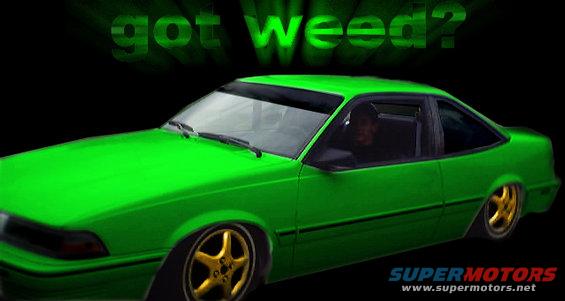 sunbird1.jpg haha and after....