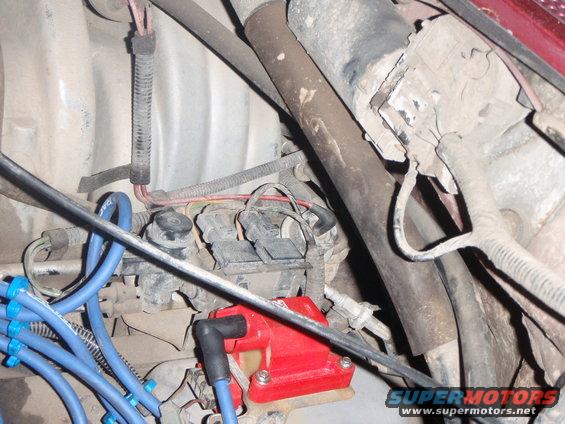 Red ignition coil and blue spark plug wires in engine bay