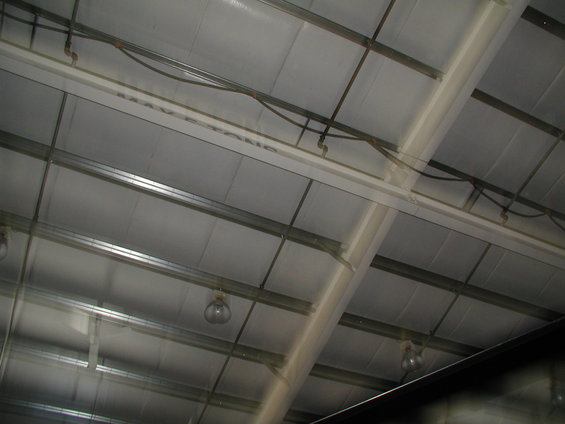 p9141572.jpg 