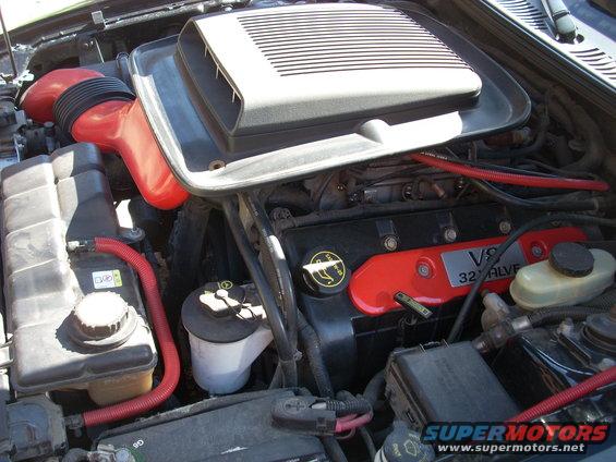 Engine bay with V8 32 valve cover and red intake piping