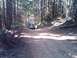1990 Ford Bronco II - Tillamook State Forest Oregon "University Firepower". Here's Jim just cresting a steep section. I stopped and ran back to get a picture but…