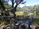 CIMG0077.jpg
