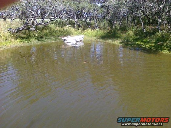 White boat floating on a pond with trees in the background
