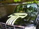 1985 Ford Bronco - Ford truck with Punisher skull decal on the hood. The grille suggests a 1990s model.