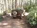 1990 Ford Bronco II photo