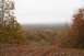 1988 Chevrolet Blazer - A scenic view of a forest during the fall season, with a wide expanse of trees displaying autumn colors.