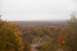 1988 Chevrolet Blazer - A wide view of a forest in autumn, with a dirt road winding through the trees under a cloudy sky.