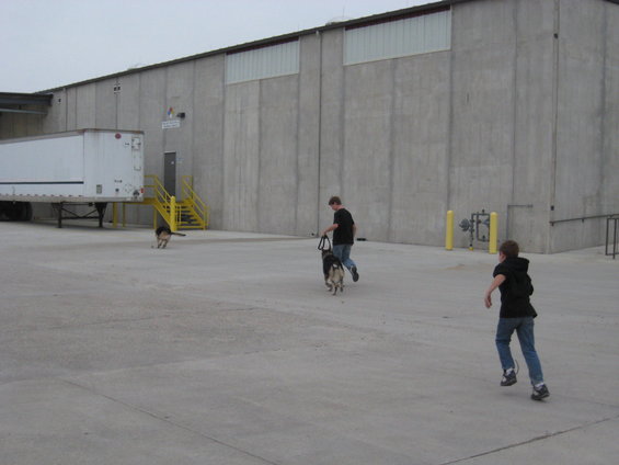 Two people and three dogs in a concrete lot outside a large industrial building with a semi-trailer parked