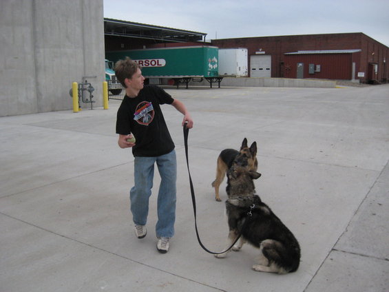 Boy holding a ball and leash with two German Shepherd dogs in a paved area near industrial buildings