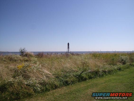 Lighthouse on the coast with tall grass in the foreground