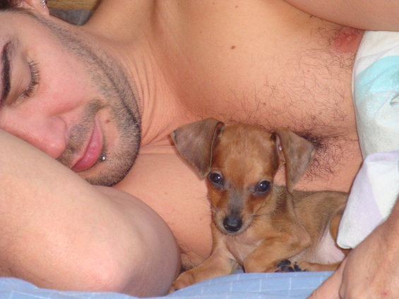 Man sleeping with a small brown dog resting on his chest