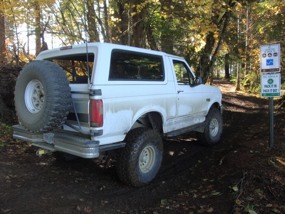 White Ford Bronco parked on a dirt trail in the woods, spare tire mounted on the rear door