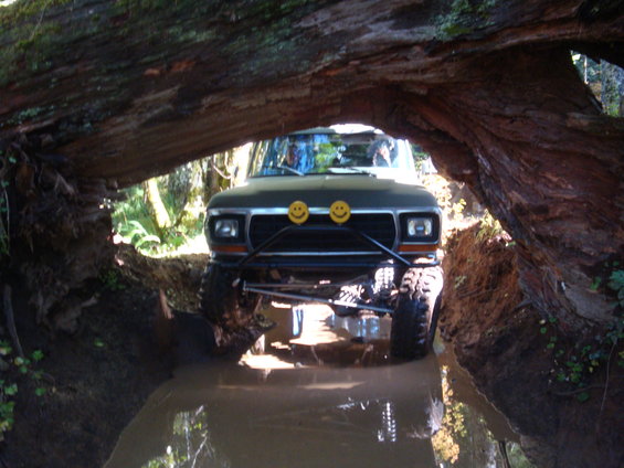 Green Ford Bronco driving through a muddy ditch under a large fallen tree. Has smiley face lights on the front