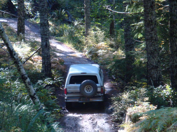 White SUV with spare tire on rear door driving on a dirt road in a forest