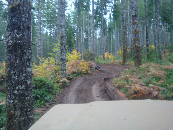 TSF trails are so cool