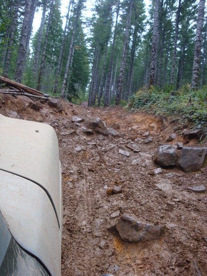 Muddy, rocky off-road trail through a forest with a vehicle's fender visible on the left