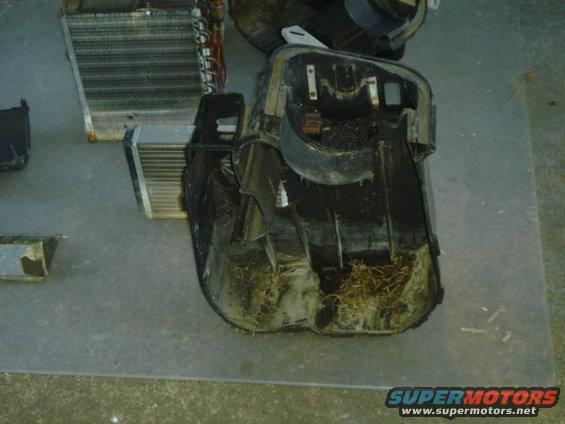 dsc03684.jpg crud in the left side heater case