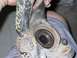 1999 Volkswagen Beetle - This is a close-up of a worn suspension component, possibly a control arm or knuckle.