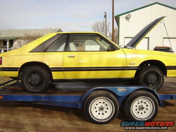 need to touch up the rear panel
