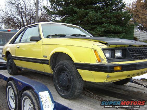 mustang-015.jpg can you see where i need to replace the front bumper