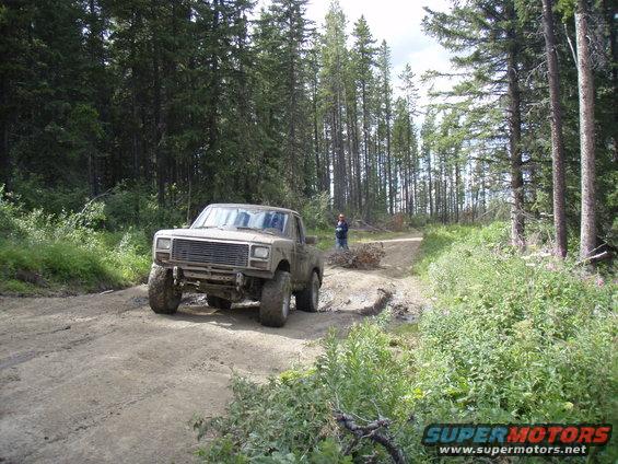 Tan Ford F-Series truck with large tires on a dirt road in a forest