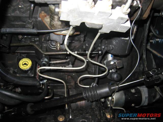 will--molly-013.jpg Brake lines.