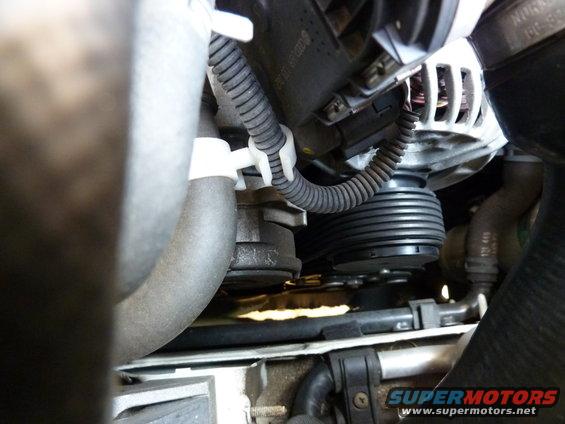 Close-up of engine belt and alternator with hoses and wiring