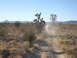 DSCN3587.JPG