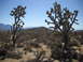DSCN3826.JPG