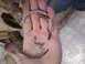 1988 Ford Bronco - piston rings