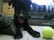 DSC00052.JPG