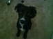 DSC00053.JPG