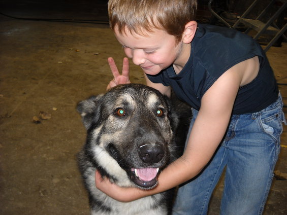 Boy with peace sign behind a dog's head
