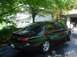 1999 Ford Taurus - Heres a good picture of the back window with the 30% tint.