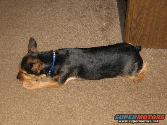 img_0768.jpg 11-5-09