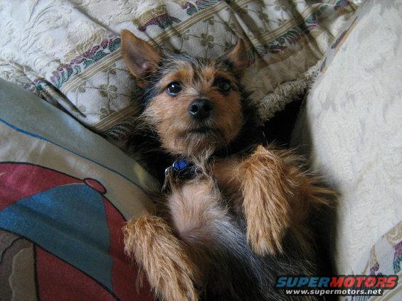 img_0741.jpg 10-5-09